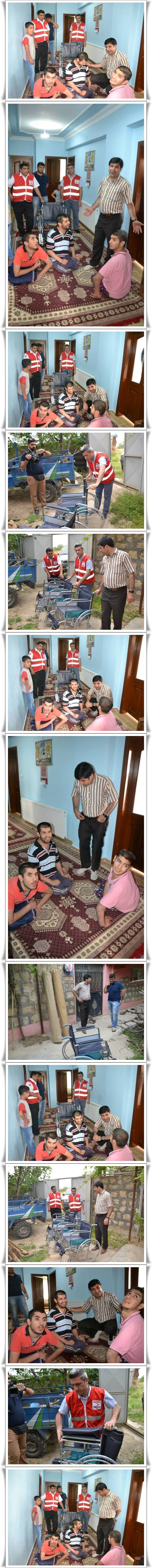 10957478_950165258338487_8589694672306120522_n-vert