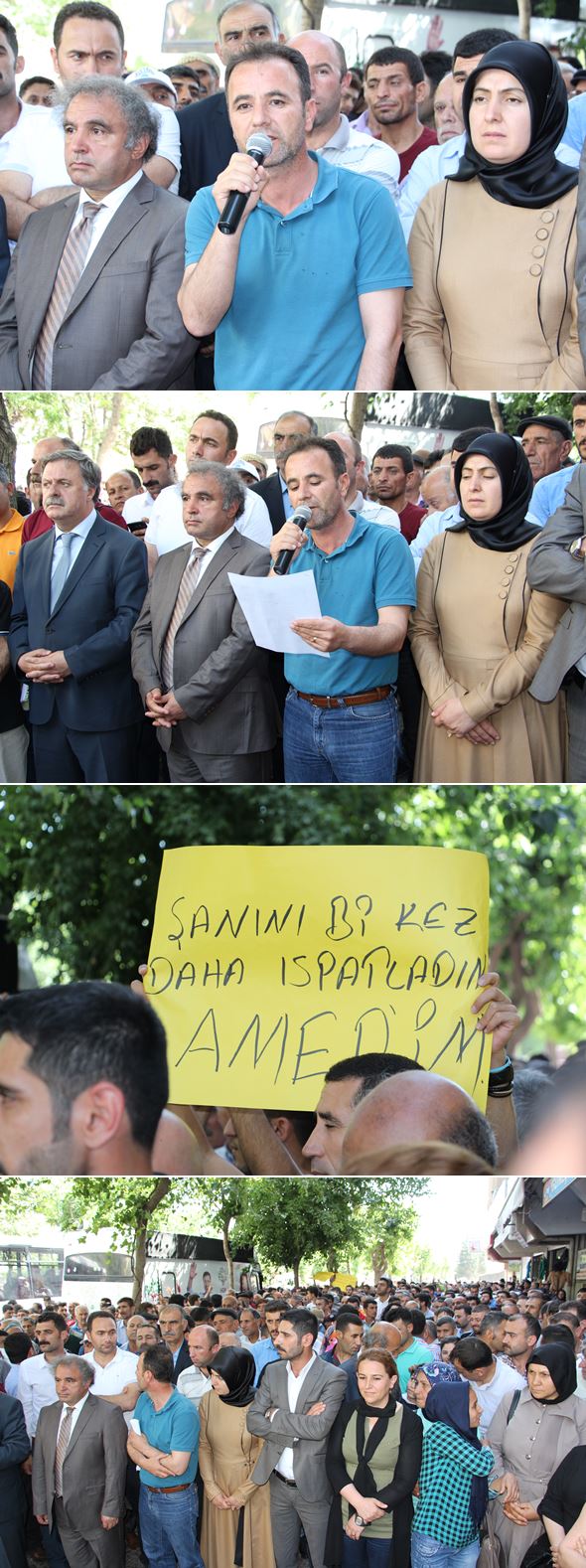 siirt-hdp