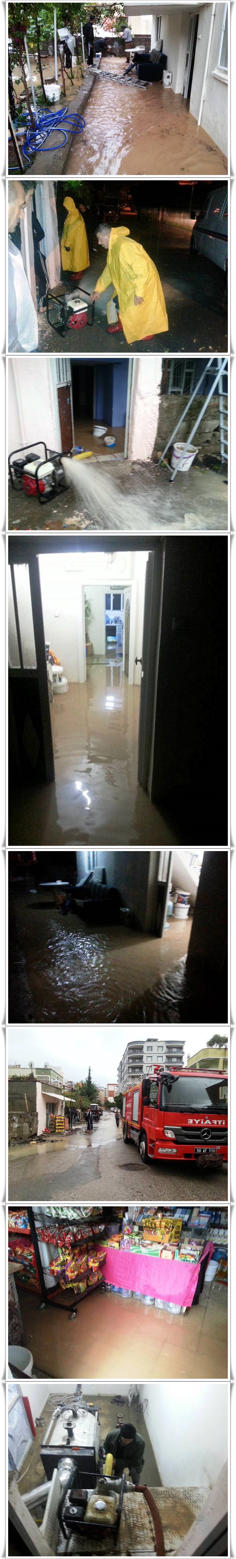 12191505_983374545042595_3229561612043378746_n-vert