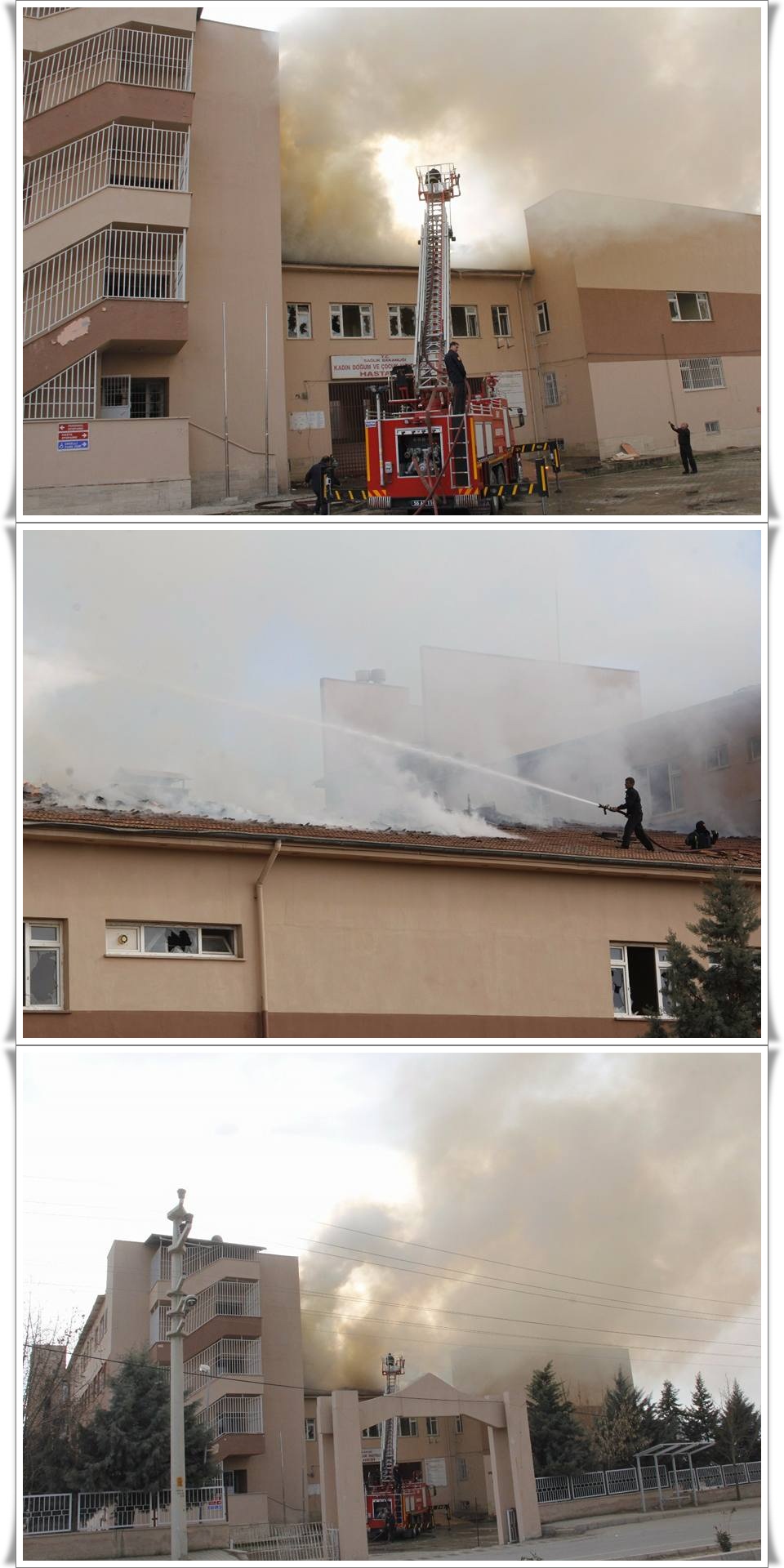 10171048_1013281185385264_5789676660336070235_n-vert