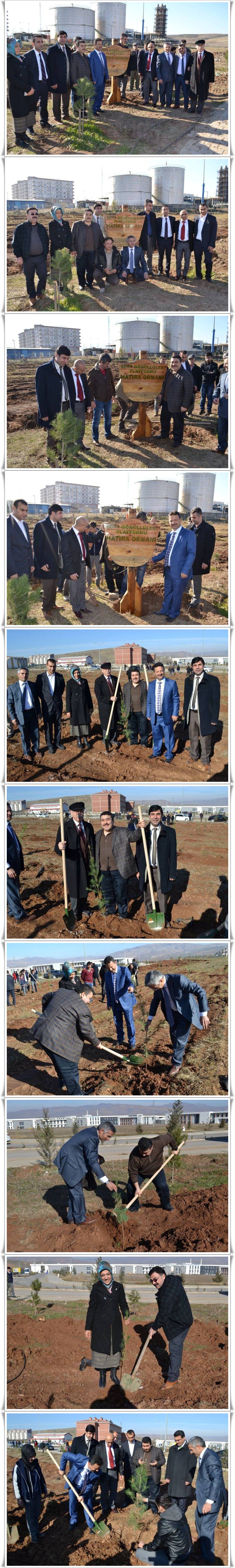 920700_1042672465754432_6495582784515706025_o-vert