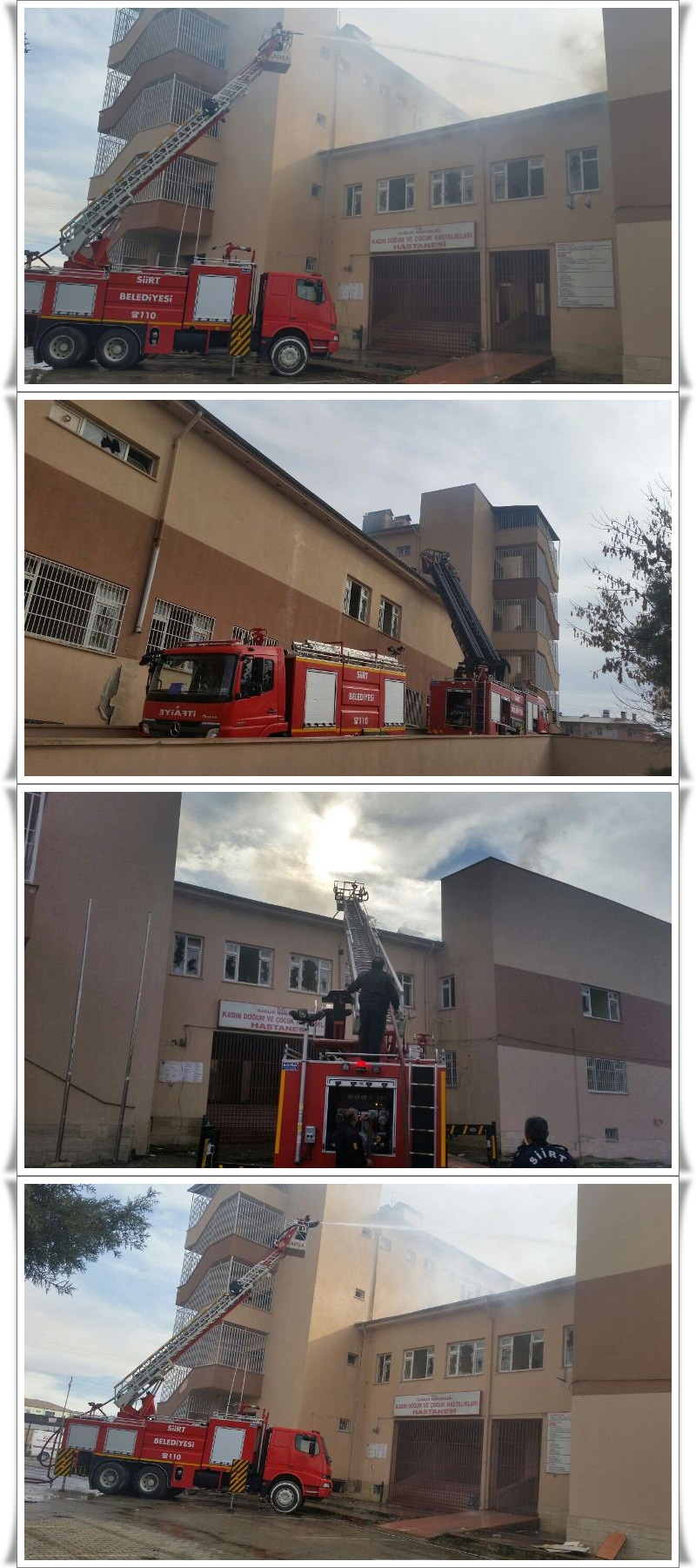 921268_1013276342052415_8751800015915946683_o-vert