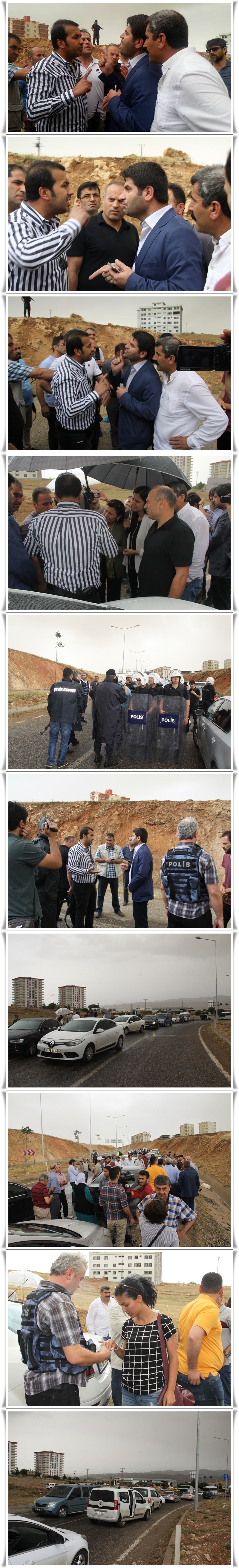 13466252_1114922961887752_8781184660620612418_n-vert