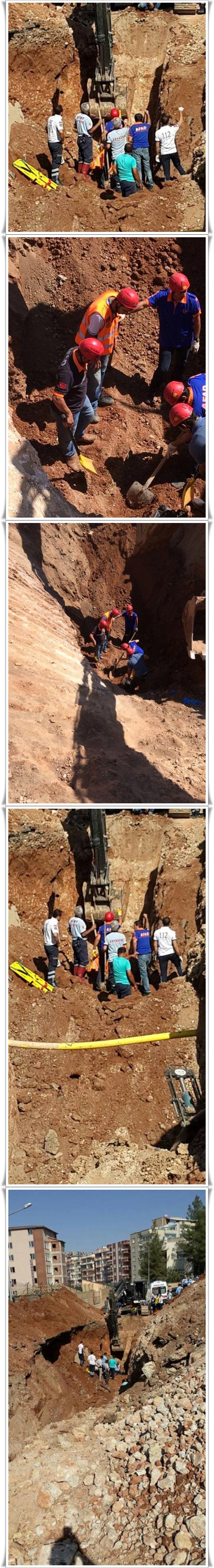 14192640_1169273029786078_2035238114530529388_n-vert