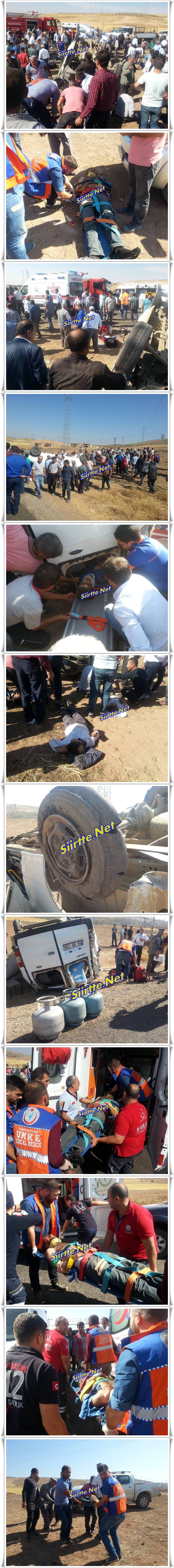 14359175_1184622794917768_1437969886623480281_n-vert