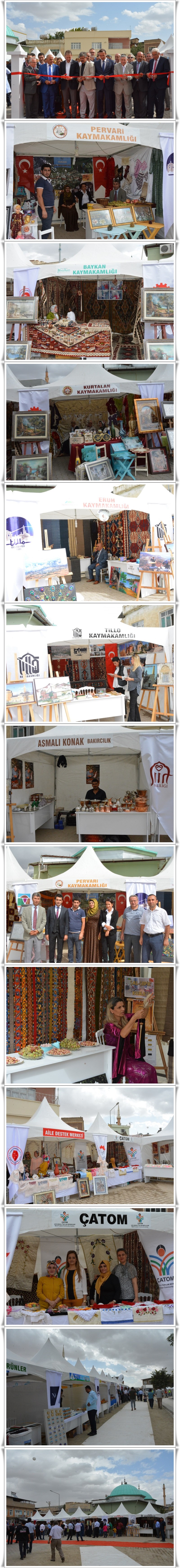 sergi-acilisi-1-vert