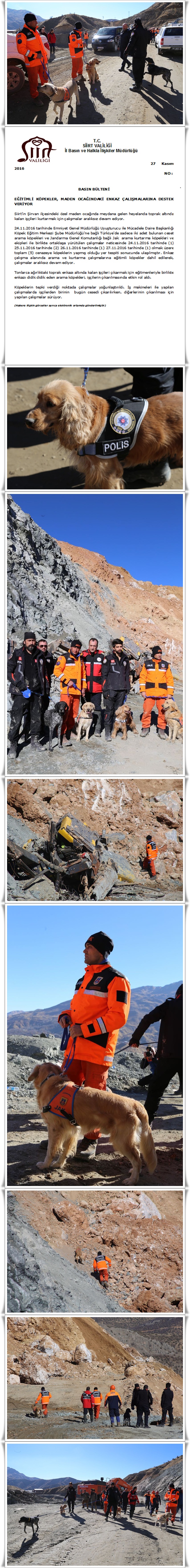 egitimli-kopekler-8-vert